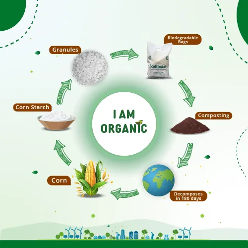 Biodegradable and Compostable U-cut Carry Bags 8X12(190pcs)500gms Capacity
