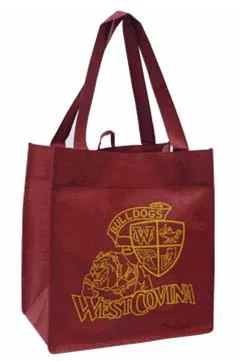 Everyday Medium Non-Woven PP Grocery Bag with Plastic Insert